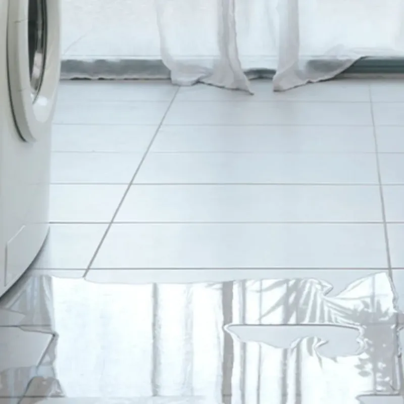 Appliance Leak Cleanup in Marcellus, NY